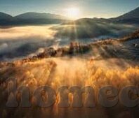 里昂足球最新比分-里昂足球最新比分，赛场风云变幻，荣耀与挑战并存