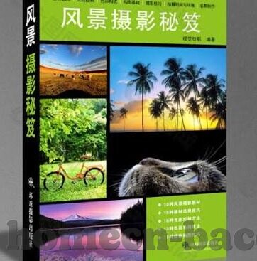 世界杯韩国锋线-世界杯韩国锋线的崛起之路