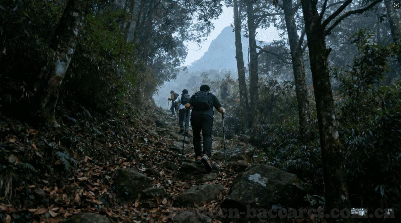 在澳门赌场吃喝要钱吗-澳门赌场，消费与体验的平衡